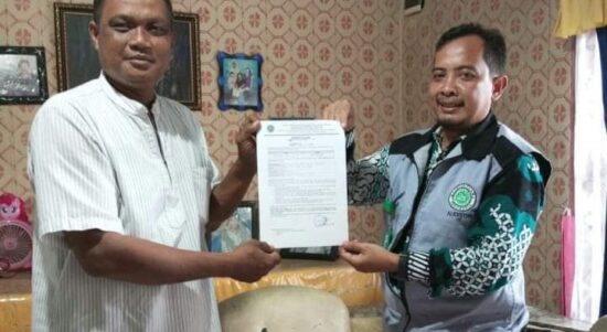 Daun Kelor