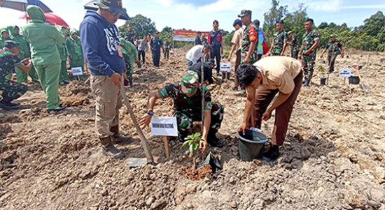 Penghijauan Lahan Kritis