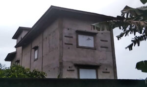 Usaha Sarang Burung Walet