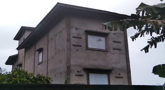 Usaha Sarang Burung Walet