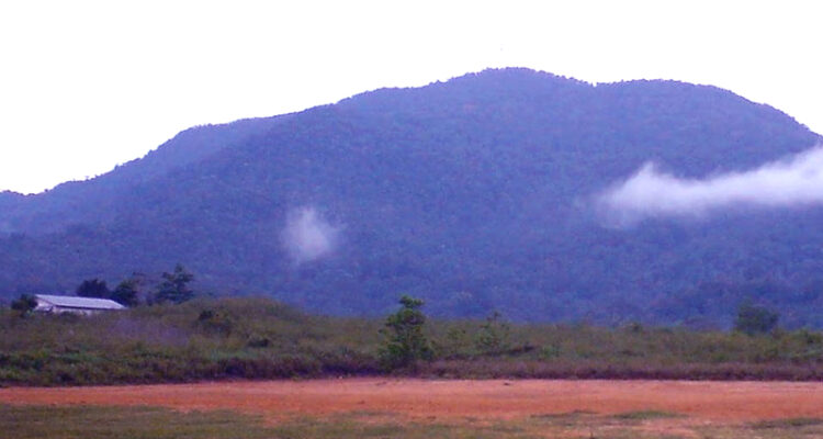 UPTD KPHL Belantu Mendanau