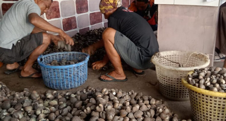 Kerang