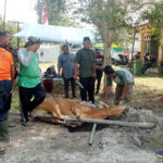 Pokja Wartawan Beltim