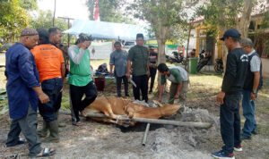 Pokja Wartawan Beltim