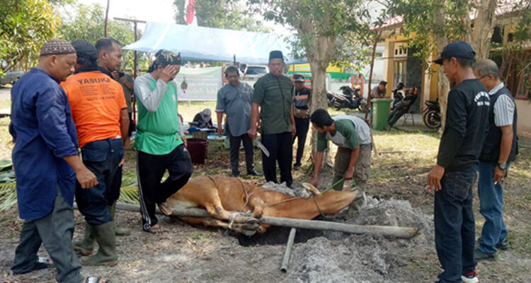 Pokja Wartawan Beltim