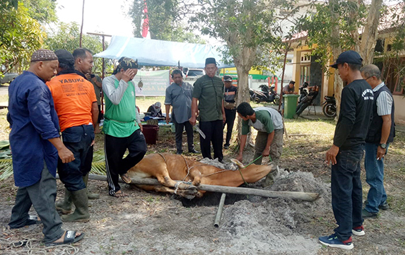 Pokja Wartawan Beltim