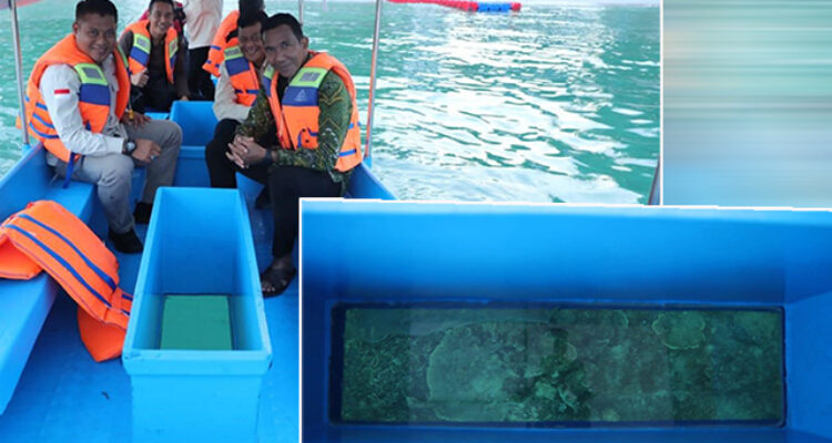 Perahu Wisata Fiber Kaca