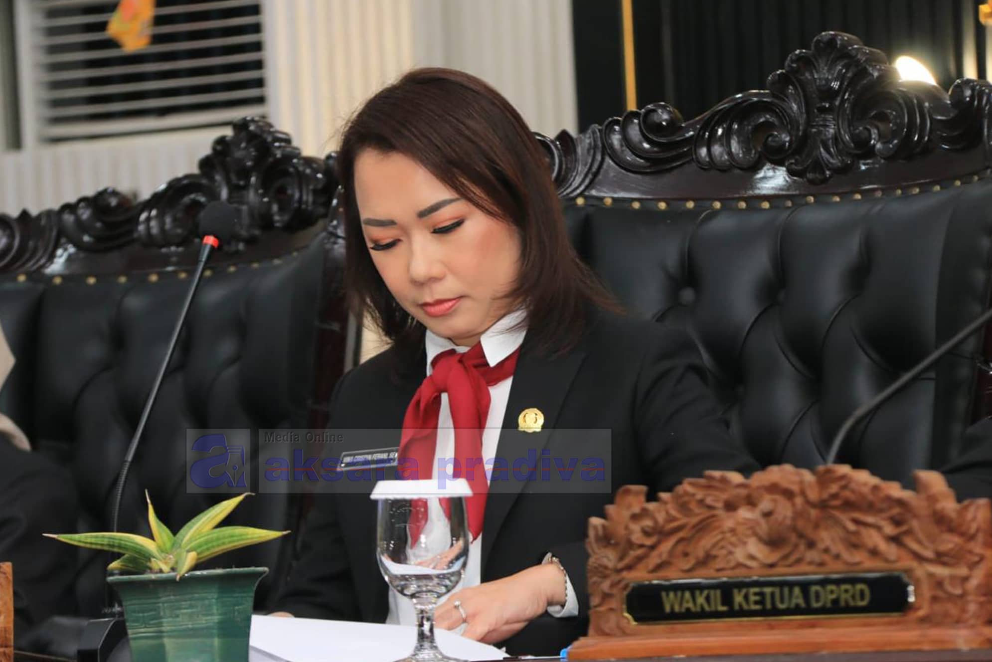Vina