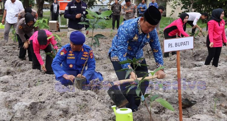 Penanaman Sejuta Pohon