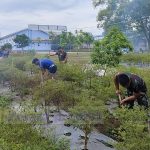 Lahan Ketahanan Pangan