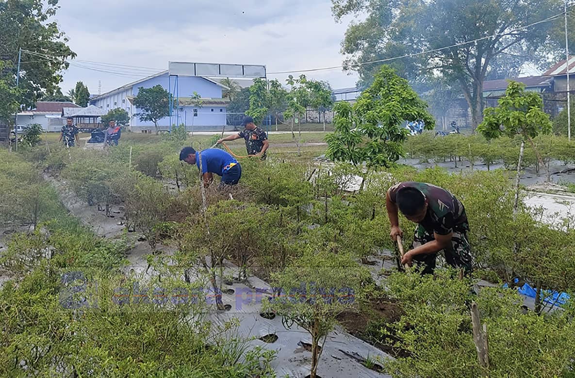 Lahan Ketahanan Pangan